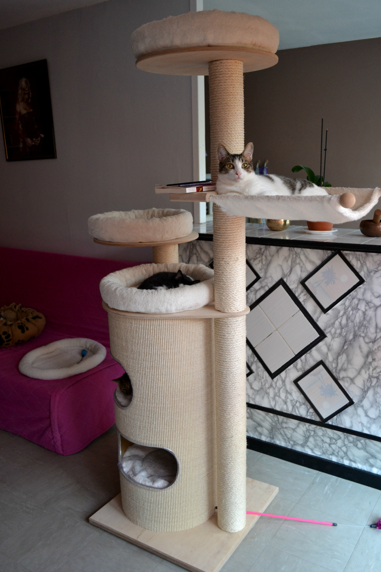 arbre a chat paradise xxl